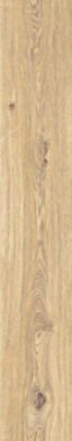 Керамогранит ALCHYMIE NATURE RETTIFICATO (131297) 20x120 от Naxos Ceramica (Италия) в Москве