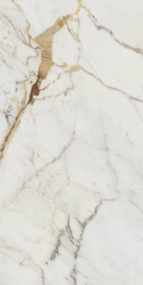 Керамогранит Allmarble Golden White lux ret (M4GM) 60x120 от Marazzi Italy (Италия) в Москве