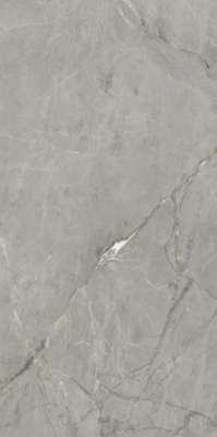 Керамогранит Amedio Grey Glossy 60x120 от Maimoon Ceramica (Индия) в Москве