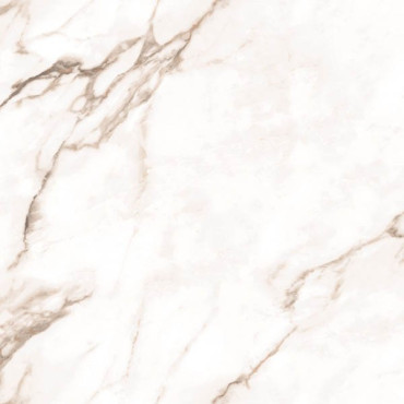 Керамогранит Statuario Super полированный 60x60 от Ocean Ceramic (Индия) в Москве