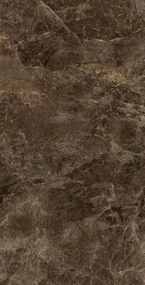 Керамогранит FRAPUCCINO POLLOCK RET NAT C46M6R 120x240 от Emil Ceramica (Италия) в Москве