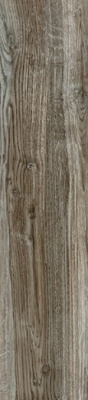 Керамогранит Chester (GFA92CHR44R) матовый 20x90x9 от Alma Ceramica (Россия) в Москве