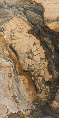 Керамогранит REX BROWN POLISHED RECT 60x120 от APE Ceramica (Испания) в Москве