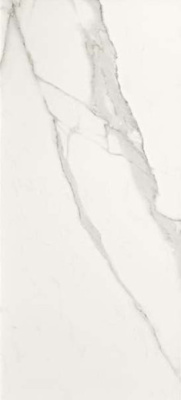Настенная плитка Roma Diamond Statuario Brillante Rt (fPQE) 50x120 от FAP Ceramiche (Италия) в Москве