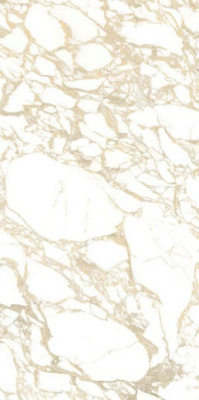 Керамогранит PULP Gold D. Polished (4100704) 60x120 от 41ZERO42 (Италия) в Москве