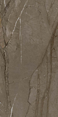 Керамогранит SIERA VIZION MATT RECTIFIED 60x120 от Kutahya (Турция) в Москве