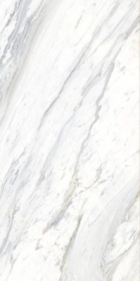Керамогранит Calacatta Belgia 60x120x5.5 от Ocean Ceramic (Индия) в Москве