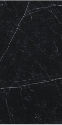 Керамогранит Marmi Classici Nero Marquine Luc ret 60x120 от Ariostea (Италия) в Москве