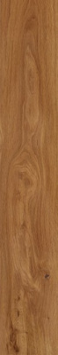 Керамогранит Forest Amber непол. 19.4x120 от Creto (Россия) в Москве