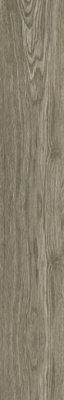 Керамогранит Wood Forest mat (NTT92306M) 20x120 от NT Ceramic (Китай) в Москве