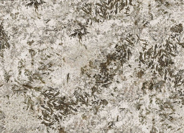 Керамогранит Frozen Fox Polished (6 мм) (MN627BP261206) 120x260 от Moreroom (Китай) в Москве