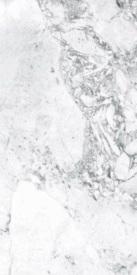 Керамогранит Forest White Semi Polished 59.7x119.8 от Goldis Tile (Иран) в Москве