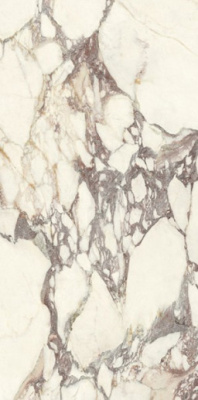 Керамогранит Marmi Classici CALACATTA VIOLA Soft 60x120 от Ariostea (Италия) в Москве