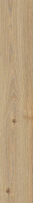 Керамогранит Secret Naturale RT (RC6P) 20x120 от Ragno (Италия) в Москве