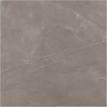 Керамогранит Armani Gris Satin 60x60 от Colortile (Индия) в Москве