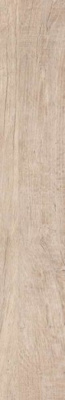 Керамогранит Monte Verde MN 1 Beige 16.5x100 от Del Conca (Италия) в Москве