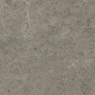 Керамогранит Marvel Meraviglia Grigio Elegante Matt (AJJD) 60x60 от Atlas Concorde (Италия) в Москве