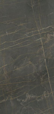 Керамогранит ATLAS GRAY PUL. (6mm) (полированная) 120x260 от TAU Ceramica (Испания) в Москве