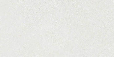Керамогранит Alpha Light 30x60 от Vives Ceramica (Испания) в Москве