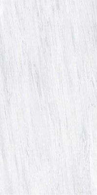 Керамогранит MARMOKER CARRARA LUCIDO (14460227) 60x120 от Casalgrande Padana (Италия) в Москве