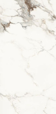 Керамогранит Aesthetica AE CAP6 12 LP 60x120 от La Faenza (Италия) в Москве