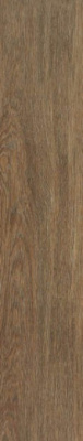 Керамогранит Tacora Brown Matt Rectt 22.7x119.5 от STN Ceramica (Stylnul) (Испания) в Москве