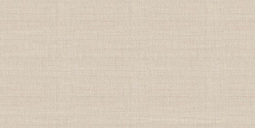Настенная плитка Asteria (TWU09ATR044) 24.9x50x8.5 от Alma Ceramica (Россия) в Москве