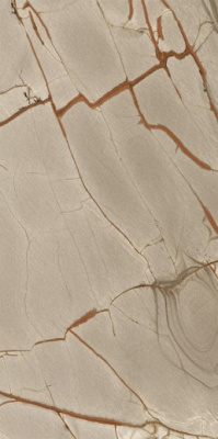 Керамогранит NATURE MOOD RAINFORE.GLOSS.9MM RET (775101) 60x120 от Casa Dolce Casa (Италия) в Москве