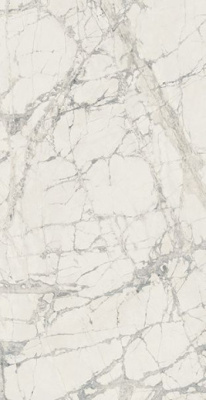 Керамогранит Magnum Prexious Moun.Treasu.6mm Mat.Ret (757730) 120x280 от REX Ceramiche (Италия) в Москве