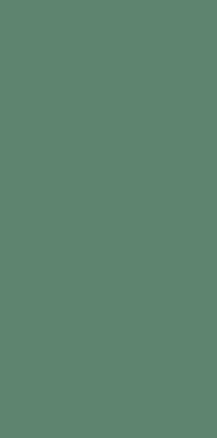 Настенная плитка Genesis Green matt (669.0047.0071) 30x60 от Love Tiles (Португалия) в Москве