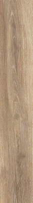 Керамогранит EVOQUE DOUSSIE NAT/RET (105118) 20x120 от Tagina (Италия) в Москве
