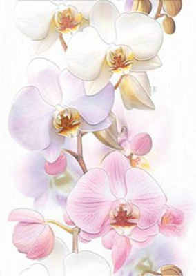 Декор Tropicana Orchids (TC2M051DT) 25x35 от Cersanit (Россия) в Москве