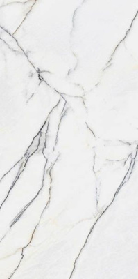 Керамогранит MARBLES Panda White Matt 60x120x5 от Staro (Индия) в Москве