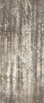Керамогранит Ylico Wood Fog (fQWO) 120x278 от FAP Ceramiche (Италия) в Москве
