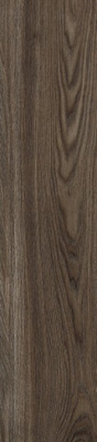 Керамогранит Andora (GFA92ADR42R) матовый 20x90x9 от Alma Ceramica (Россия) в Москве