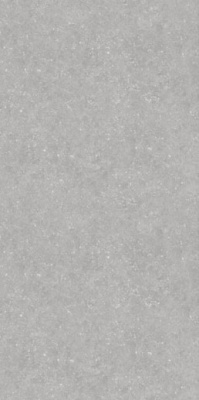 Керамогранит Bluestone Light 20мм 59.7x119.7 от Ocean Ceramic (Иран) в Москве