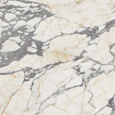 Керамогранит EPOQUE 21 ARABESCATO ANT R (PF60009346) 60x60 от Ariana (Италия) в Москве