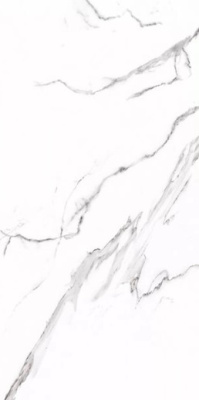Керамогранит CARRARA матовая 60x120 от Prime Ceramics (Узбекистан) в Москве