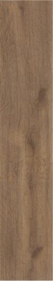 Керамогранит Articwood Amber Rect 22.7x119.5 от STN Ceramica (Stylnul) (Испания) в Москве