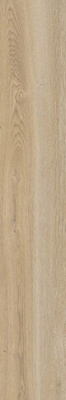 Керамогранит POETRY WOOD GOLD R11 RETT 20x120 от ABK Ceramiche (Италия) в Москве