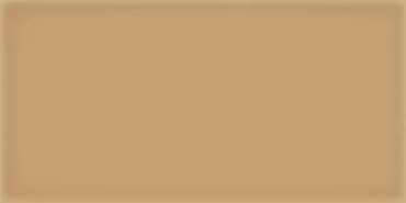 Настенная плитка Corso Caramelo 10x20 от Vives Ceramica (Испания) в Москве