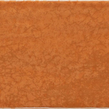 Настенная плитка MAIOLICA Arancio 20 20x20 от Iris Ceramica (Италия) в Москве