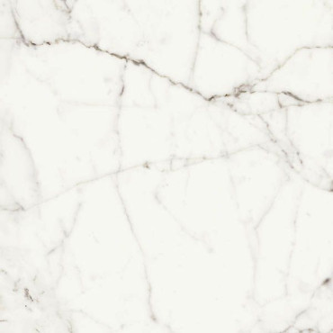 Керамогранит RHAPSODY WHITE FUN NAT/RETT(120358) 60x60 от Naxos Ceramica (Италия) в Москве