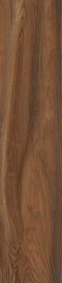 Керамогранит Ironwood (GFA92IRW48R) матовый 20x90x8 от Alma Ceramica (Россия) в Москве
