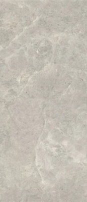 Керамогранит Platinum Leica Matt (6 мм) (MN226AY261206) 120x260 от Moreroom (Китай) в Москве