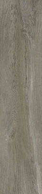 Керамогранит Westwood (GFA92WTD44R) 20x90x9 от Alma Ceramica (Россия) в Москве