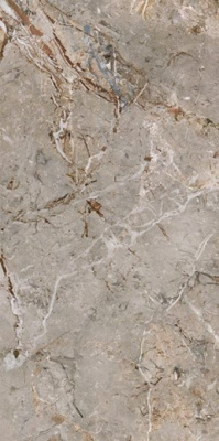 Керамогранит MARMO E PIETRA BRECCIA ARGENTUM LAPP.RETT. (163101) 60x120 от AVA Ceramica (Италия) в Москве