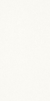 Керамогранит Black-White SNOW 50 50x100x3.5 от Kerlite (Италия) в Москве