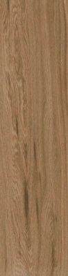 Керамогранит Escape Marrone 12.5x50 от Ragno (Италия) в Москве