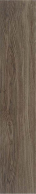 Керамогранит Volte Wengue Matt Rect 22.7x119.5 от STN Ceramica (Stylnul) (Испания) в Москве